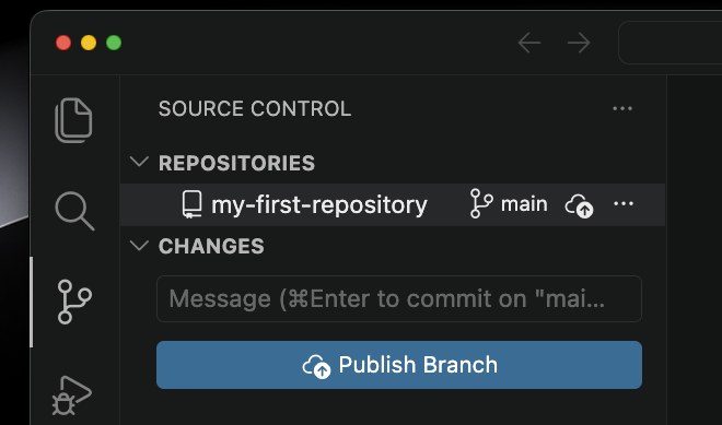 VSCode source control tab after repo initialisation